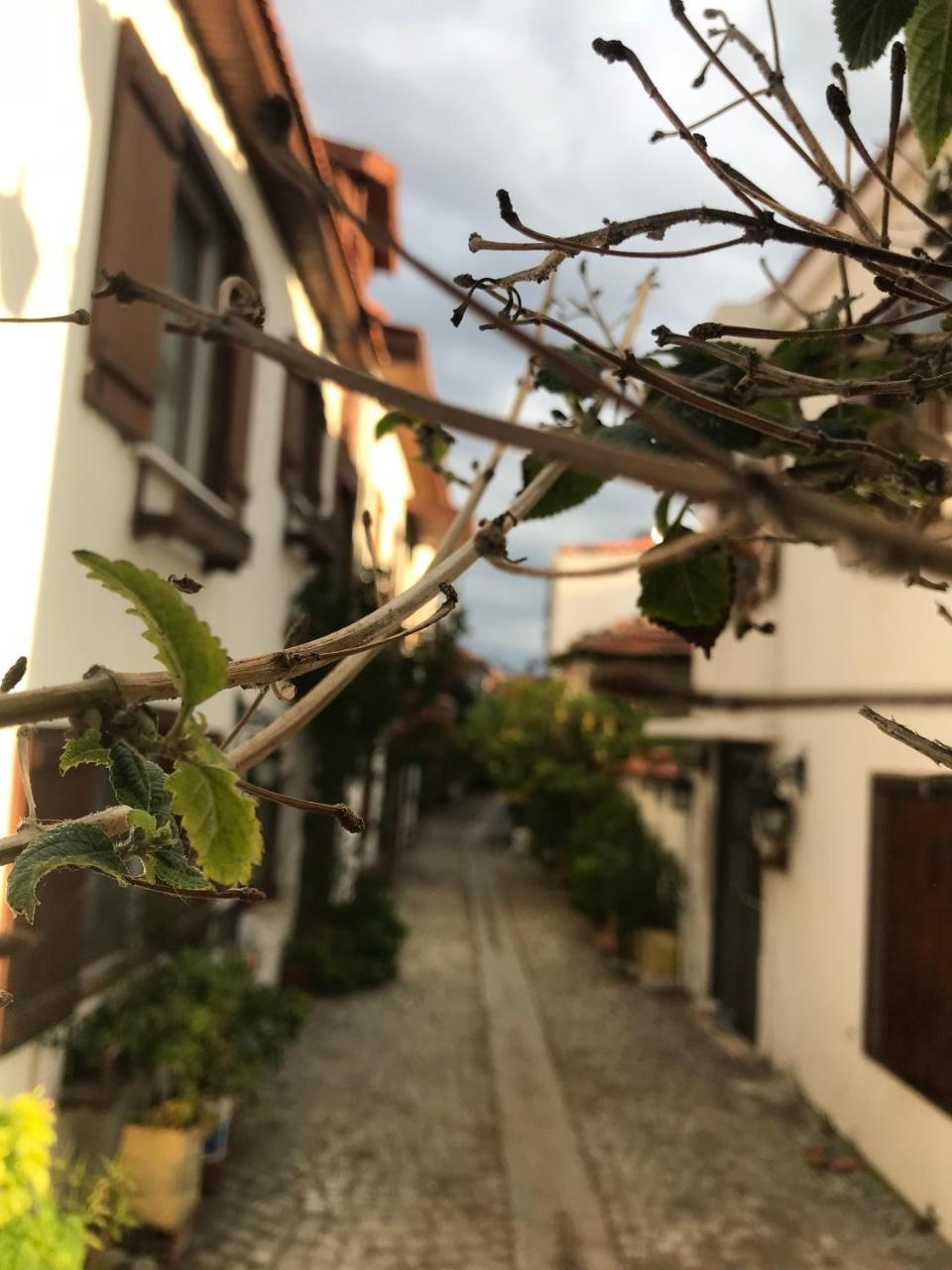 Silenos Boutique Hotel Seferihisar Εξωτερικό φωτογραφία